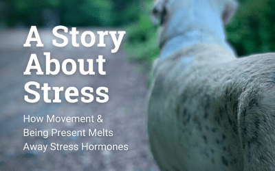 A Story About Stress: How Movement & Being Present Melts Away Stress Hormones