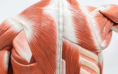 Movement for Fascia Release