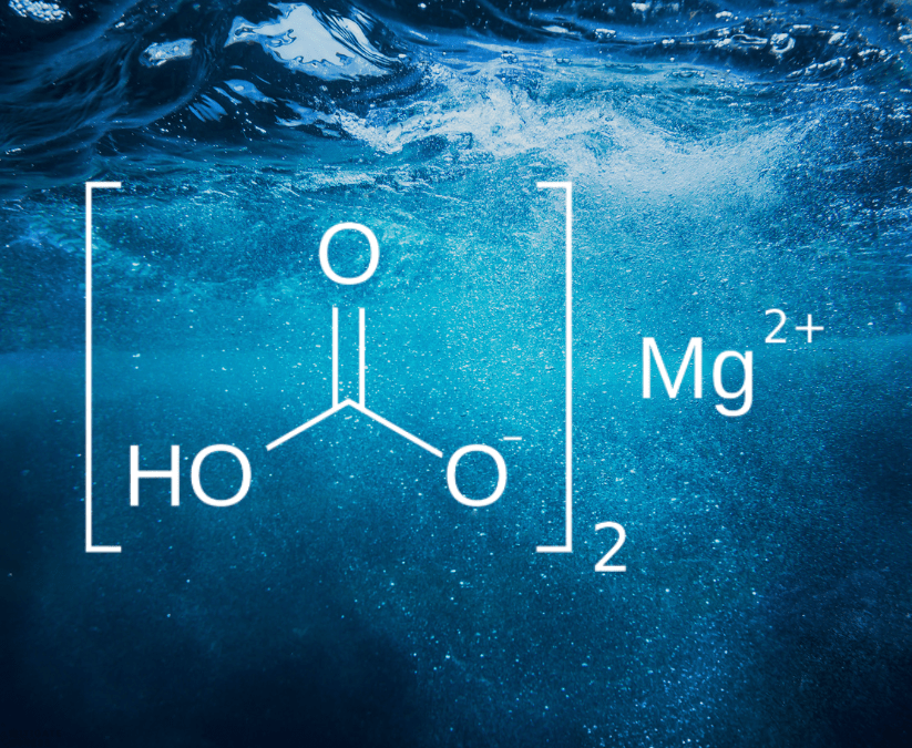 Magnesium Bicarbonate = Heavy Metal Detox: A Comprehensive Review