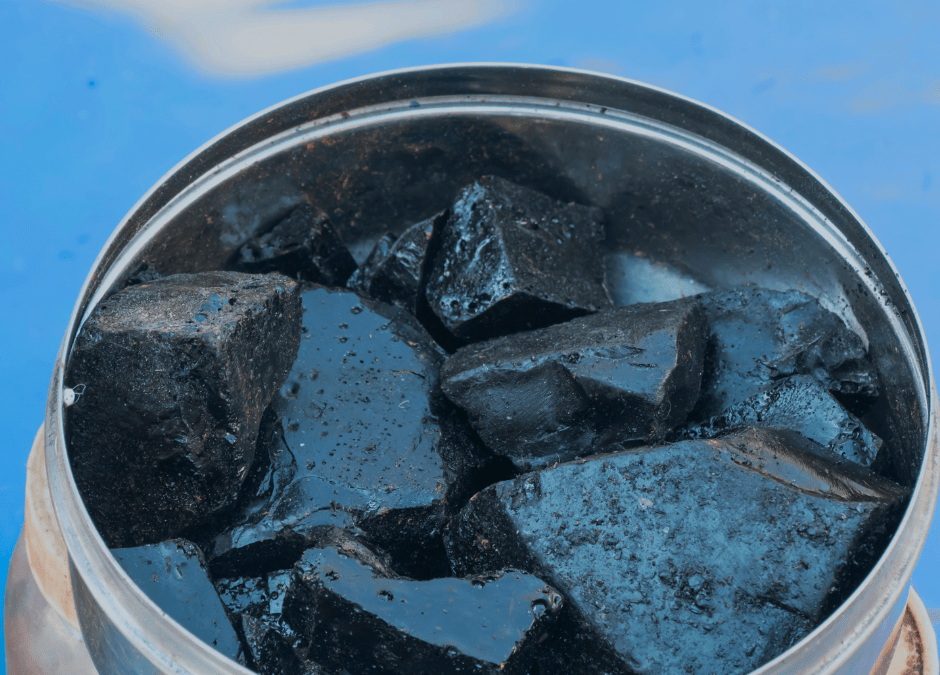 Shilajit: The Ultimate Sports Performance, Recovery and Longevity Supplement