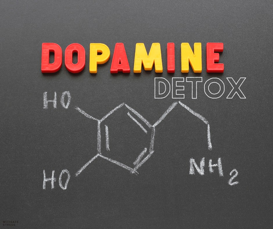 Dopamine Detox