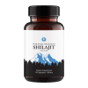 Shilajit Capsules with Amla
