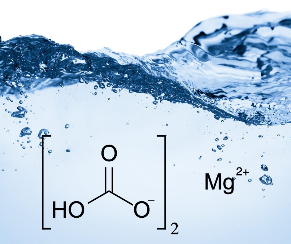 what is magnesium bicarbonate